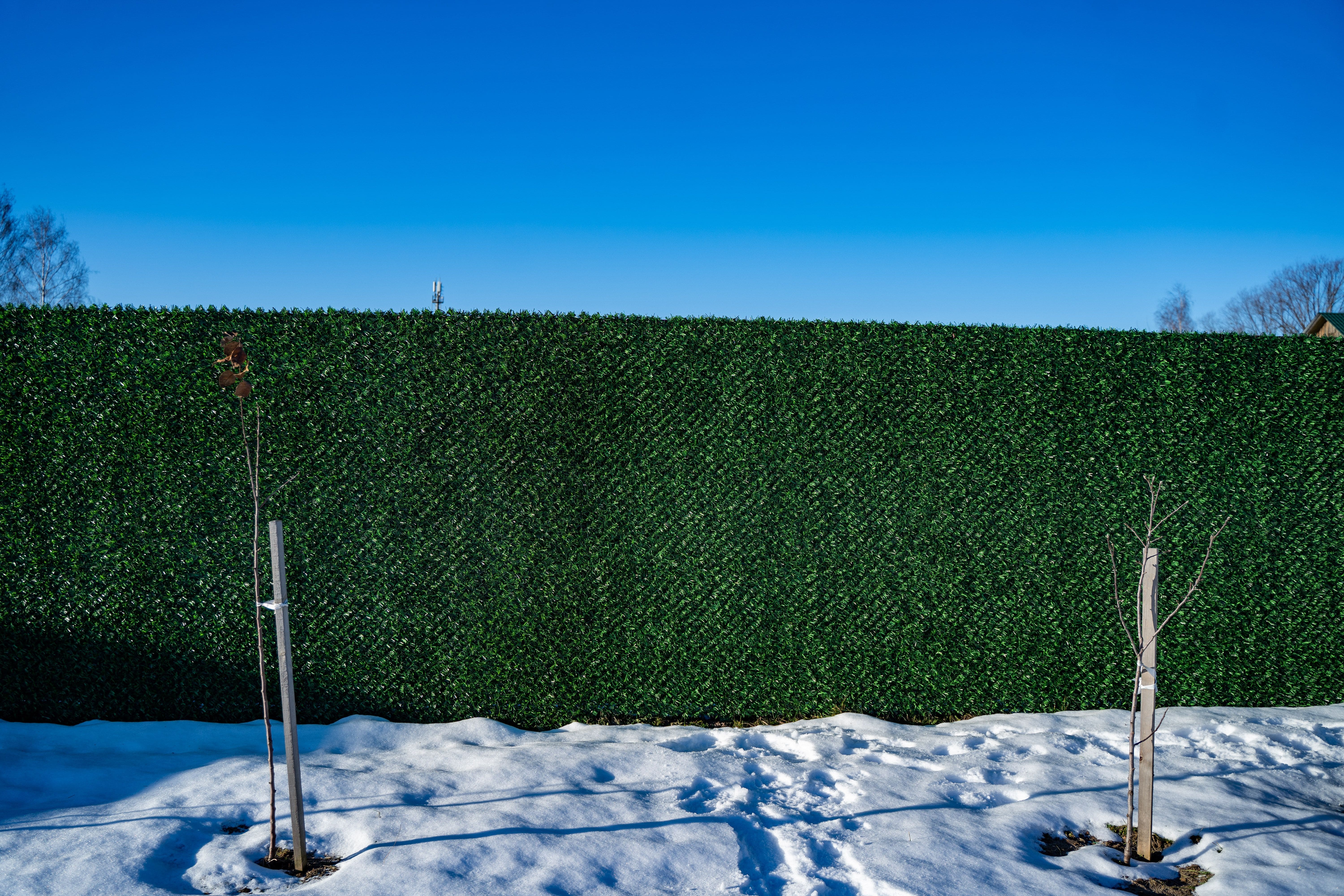 Вечнозеленый забор Grass Fence рулон 2м фото 8 в Кишиневе
